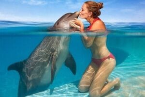 Плавание с дельфинами (индивидуальный трансфер)